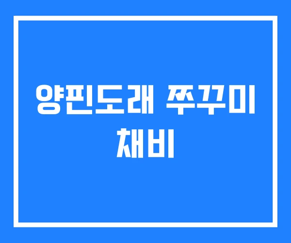 양핀도래 쭈꾸미 채비 양핀도래 쭈꾸미 채비