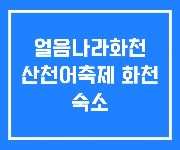 얼음나라화천 산천어축제 화천 숙소 얼음나라화천 산천어축제 화천 숙소