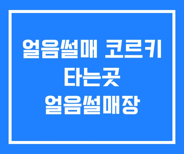 얼음썰매 코르키 타는곳 얼음썰매장