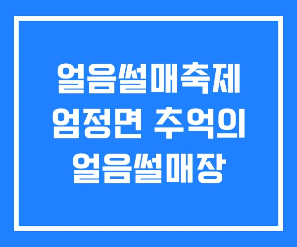 얼음썰매축제 엄정면 추억의 얼음썰매장 얼음썰매축제 엄정면 추억의 얼음썰매장