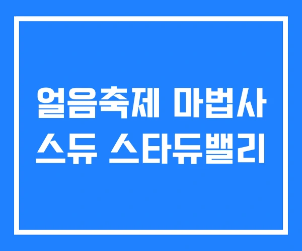 얼음축제 마법사 스듀 스타듀밸리 얼음축제 마법사 스듀 스타듀밸리
