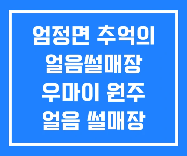 엄정면 추억의 얼음썰매장 우마이 원주 얼음 썰매장 엄정면 추억의 얼음썰매장 우마이 원주 얼음 썰매장