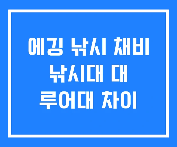 에깅 낚시 채비 낚시대 대 루어대 차이 에깅 낚시 채비 낚시대 대 루어대 차이