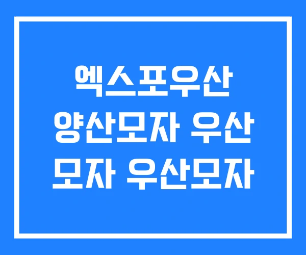 엑스포우산 양산모자 우산 모자 우산모자