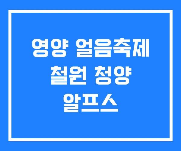 영양 얼음축제 철원 청양 알프스 영양 얼음축제 철원 청양 알프스