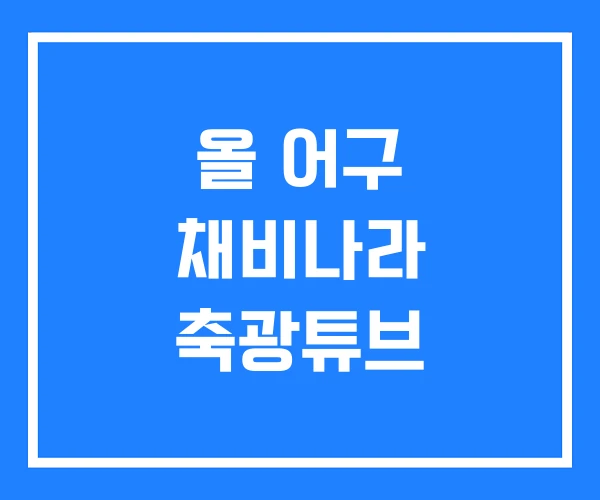 올 어구 채비나라 축광튜브 올 어구 채비나라 축광튜브
