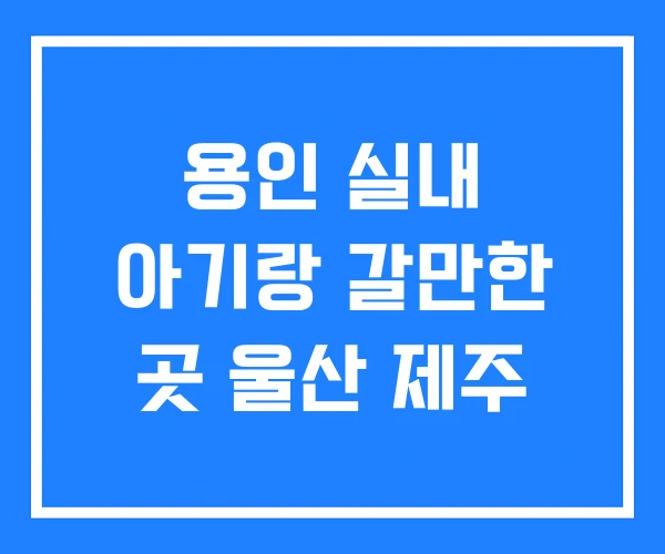 용인 실내 아기랑 갈만한 곳 울산 제주 용인 실내 아기랑 갈만한 곳 울산 제주