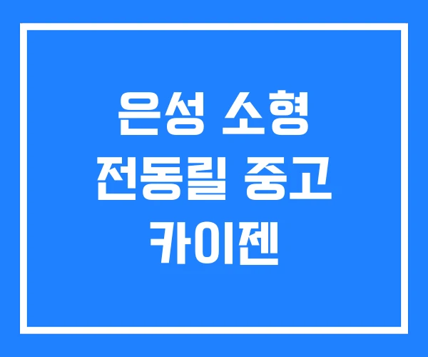 은성 소형 전동릴 중고 카이젠