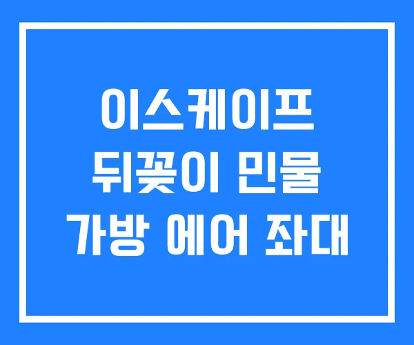 이스케이프 뒤꽂이 민물 가방 에어 좌대 이스케이프 뒤꽂이 민물 가방 에어 좌대