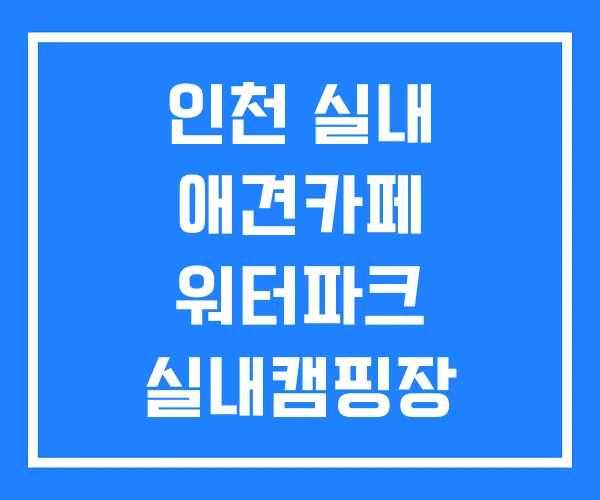 인천 실내 애견카페 워터파크 실내캠핑장 인천 실내 애견카페 워터파크 실내캠핑장