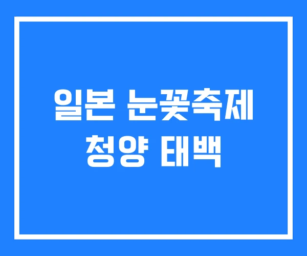 일본 눈꽃축제 청양 태백 일본 눈꽃축제 청양 태백