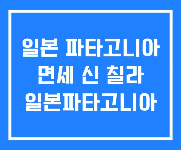 일본 파타고니아 면세 신 칠라 일본파타고니아