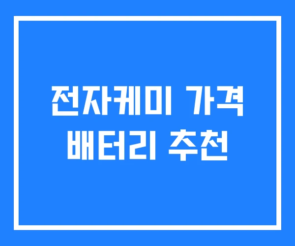 전자케미 가격 배터리 추천