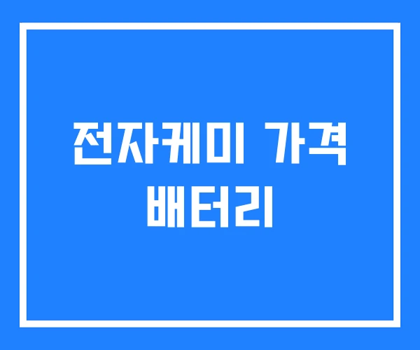 전자케미 가격 배터리