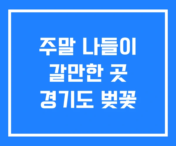 주말 나들이 갈만한 곳 경기도 벚꽃