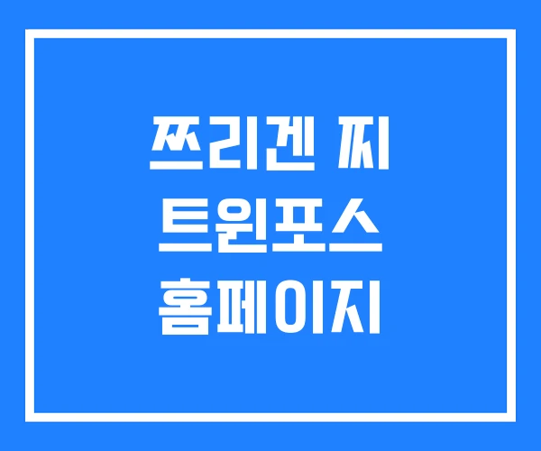 쯔리겐 찌 트윈포스 홈페이지
