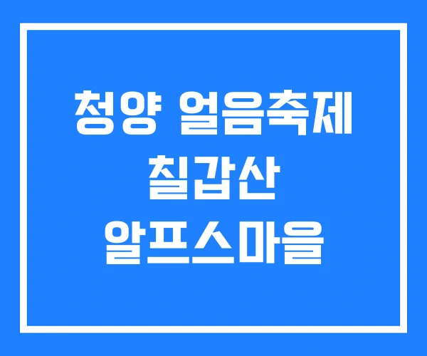 청양 얼음축제 칠갑산 알프스마을