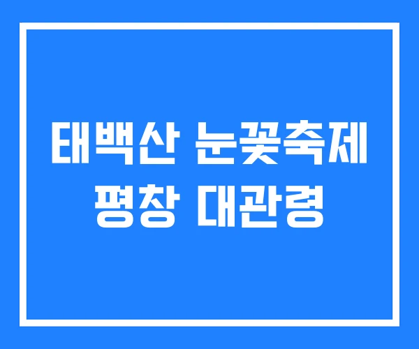 태백산 눈꽃축제 평창 대관령 태백산 눈꽃축제 평창 대관령